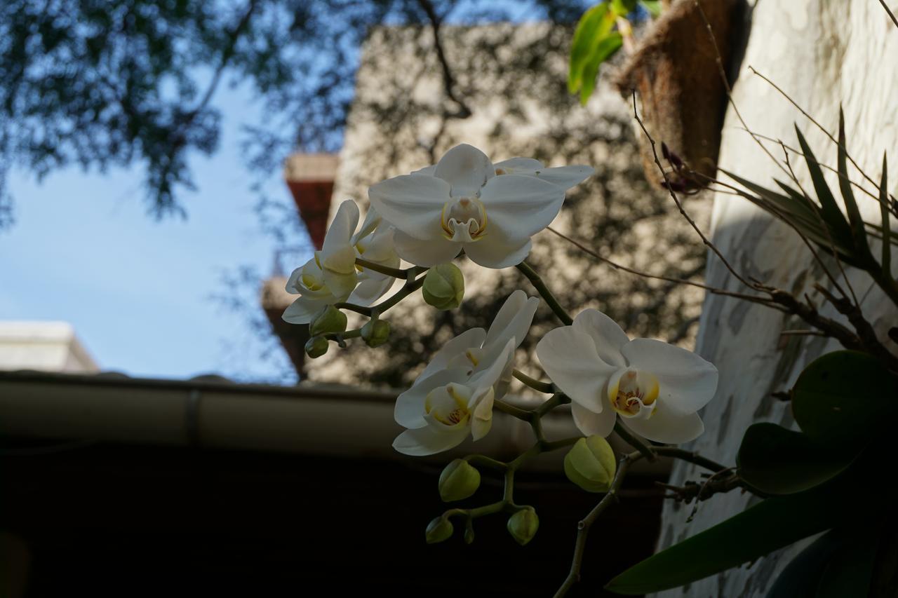 Pouso Da Garca Bed and Breakfast Cabo Frio Zewnętrze zdjęcie
